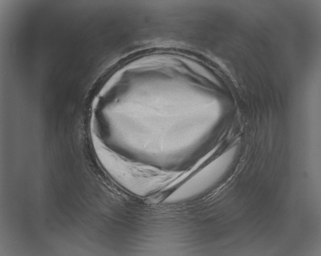 X0000073831263200609071505