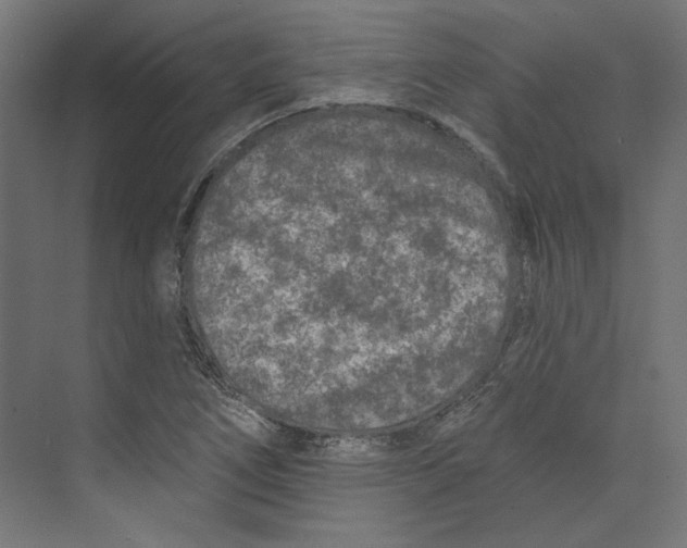 X0000073831266200609071505