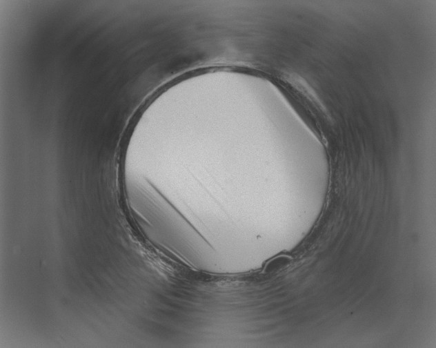 X0000073831268200609071505