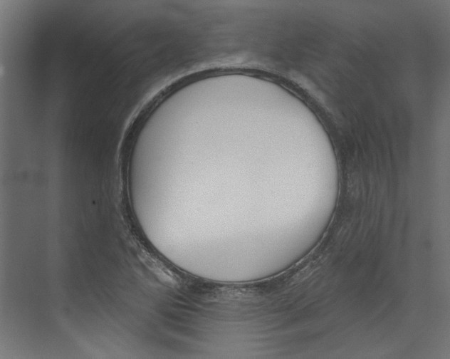 X0000073831270200609071505