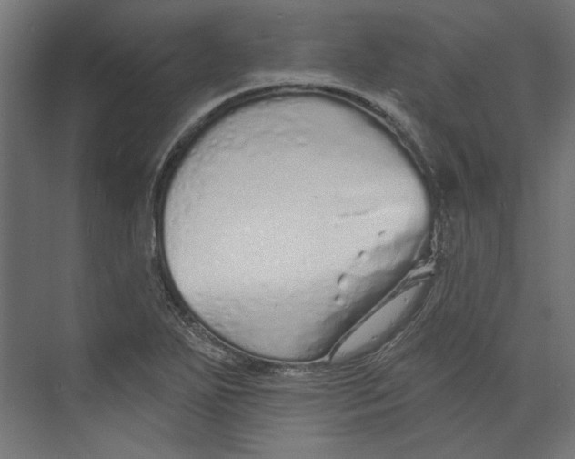 X0000073831271200609071505