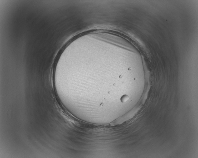 X0000073831272200609071505