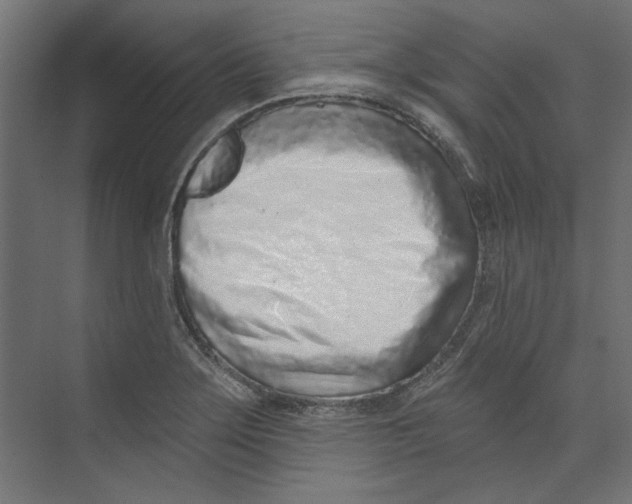 X0000073831275200609071505