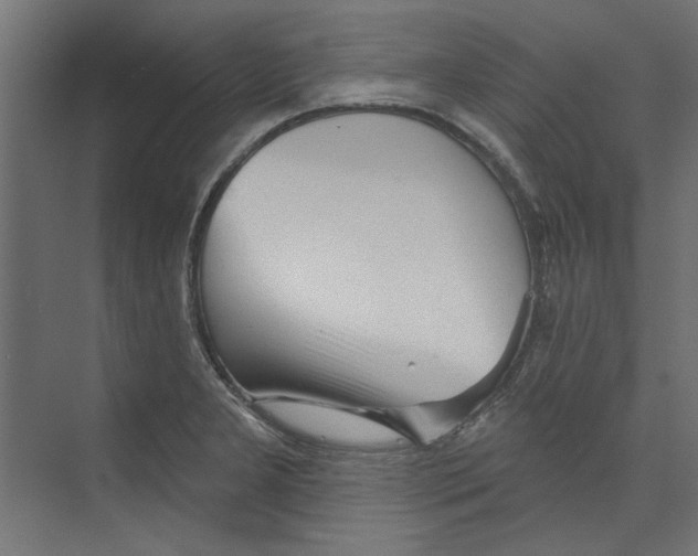 X0000073831277200609071505