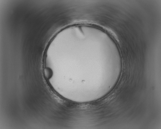 X0000073831279200609071505