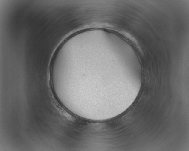 X0000073831280200609071505