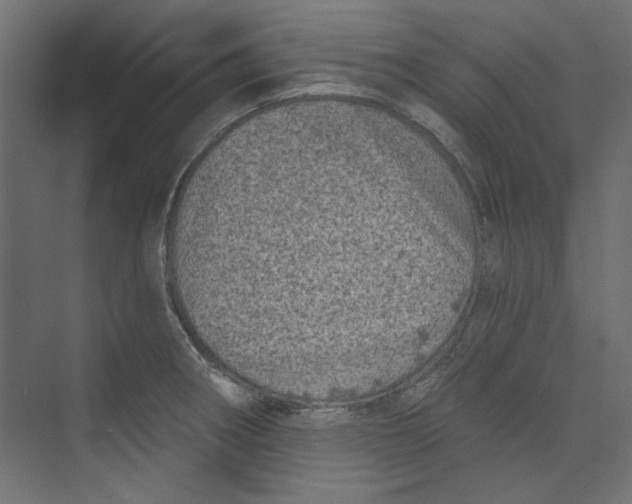 X0000073831282200609071505