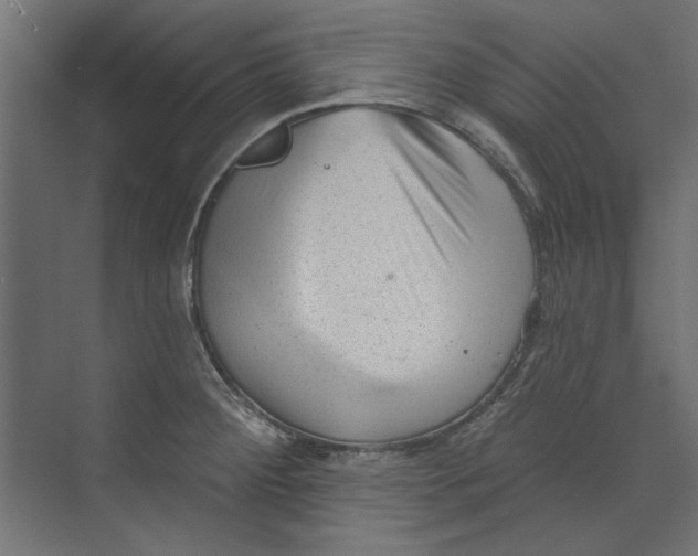 X0000073831284200609071505