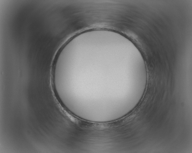 X0000073831286200609071505