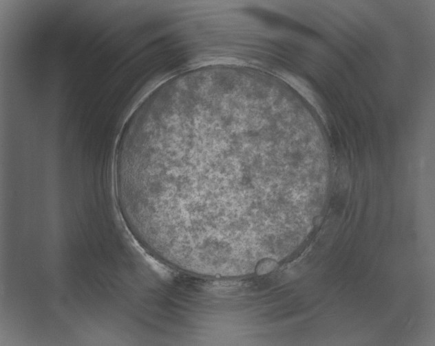 X0000073831290200609071505