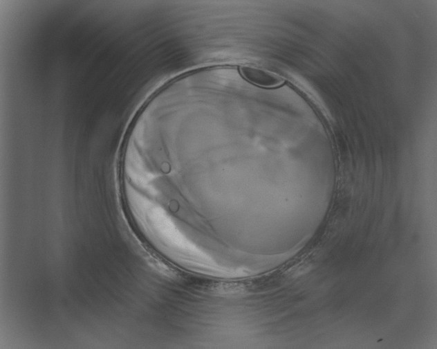 X0000073831291200609071505