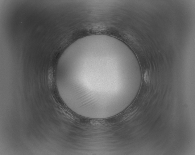 X0000073831299200609071504