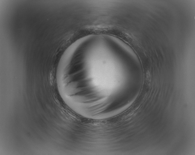 X0000073831300200609071504