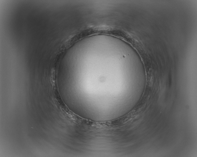 X0000073831301200609071504