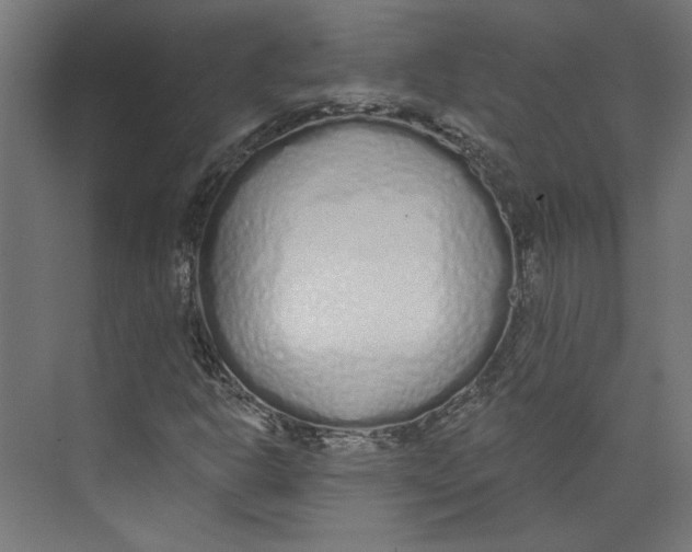 X0000073831302200609071504