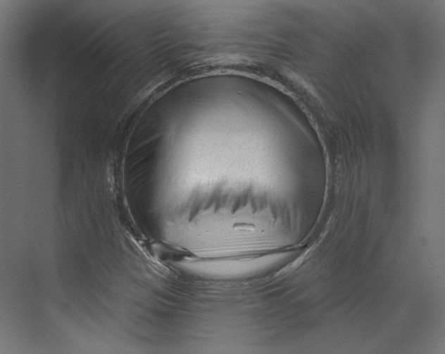 X0000073831305200609071504