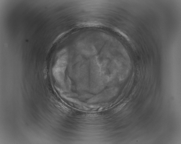 X0000073831306200609071504