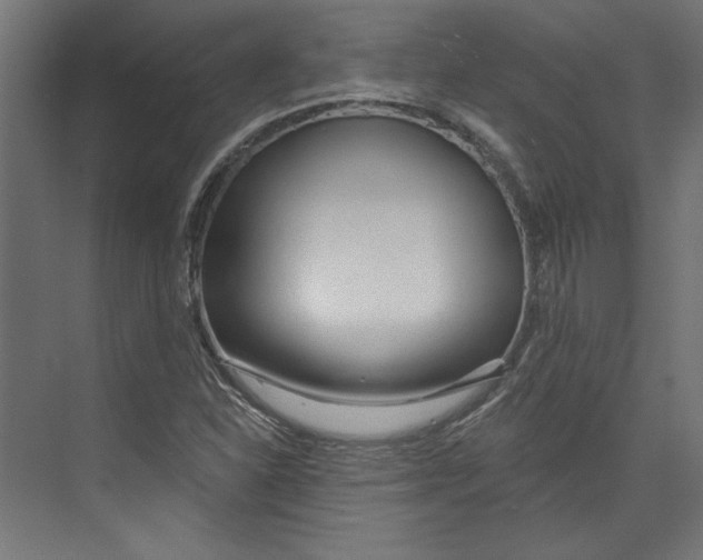 X0000073831310200609071504