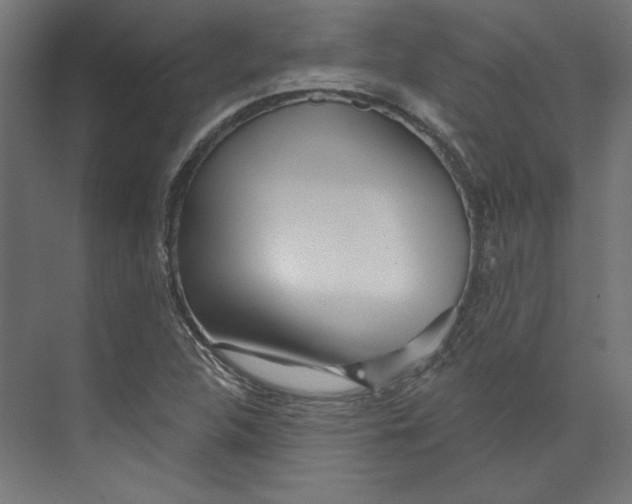 X0000073831312200609071504