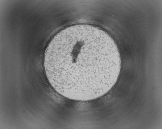 X0000073831314200609071504