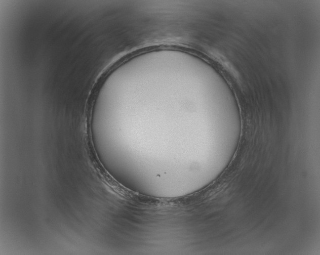 X0000073831316200609071504