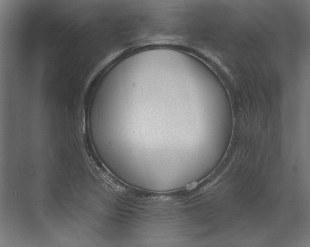 X0000073831317200609071504