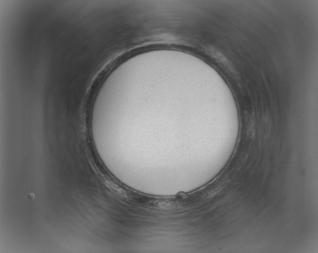 X0000073831318200609071504