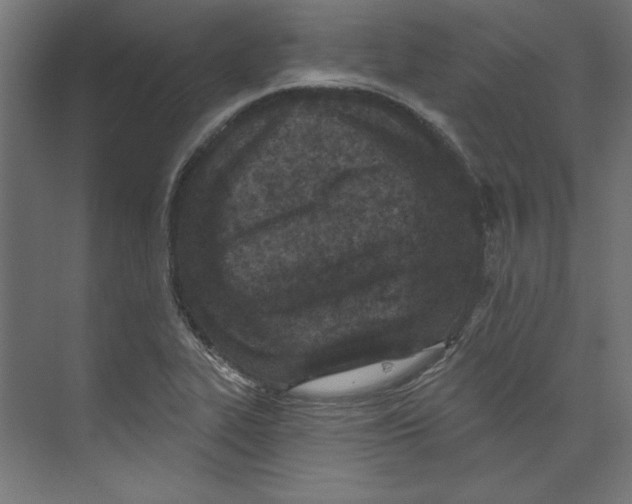 X0000073831319200609071504