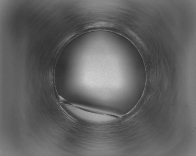 X0000073831321200609071505