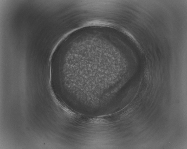 X0000073831323200609071505