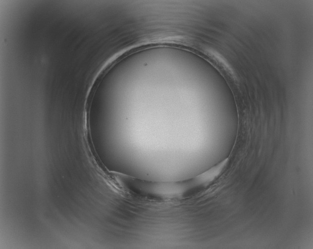 X0000073831324200609071505