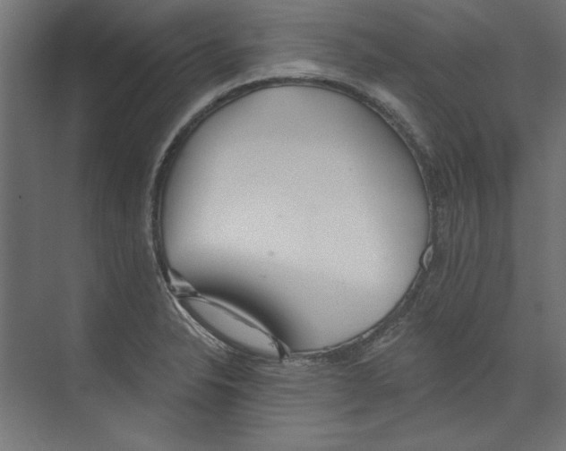 X0000073831326200609071505