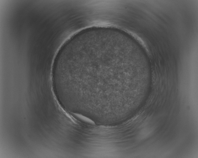 X0000073831327200609071505