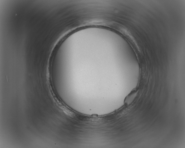 X0000073831328200609071505