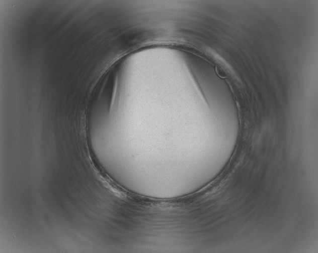 X0000073831329200609071505