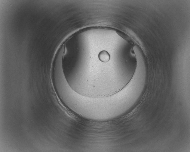 X0000073831332200609071505