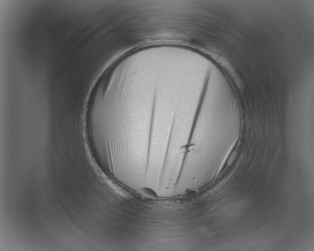 X0000073831333200609071505