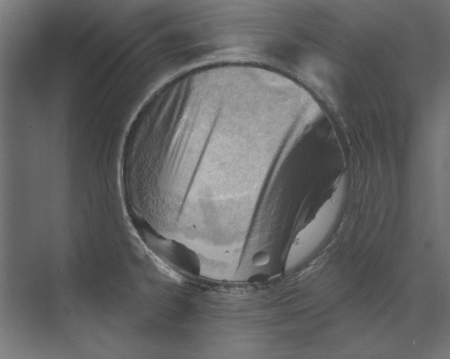 X0000073831334200609071505