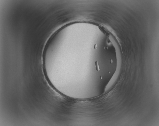 X0000073831335200609071505