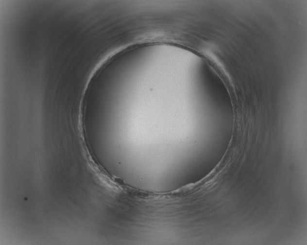 X0000073831336200609071505