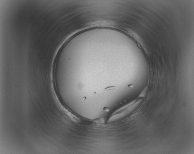 X0000073831339200609071505