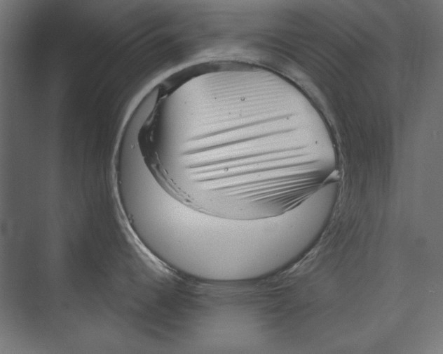 X0000073831344200609071505