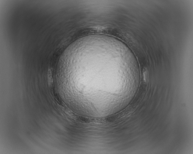 X0000073831347200609071504