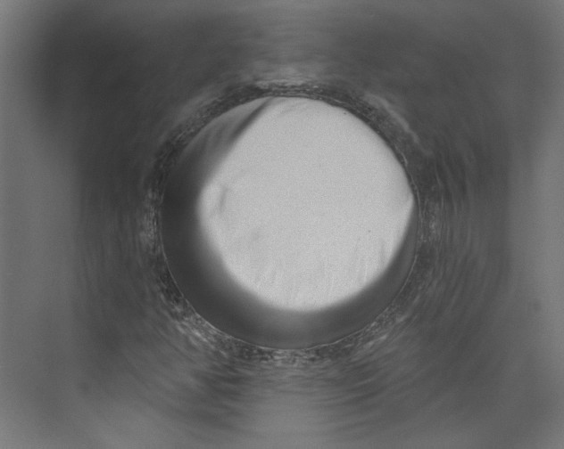 X0000073831350200609071504