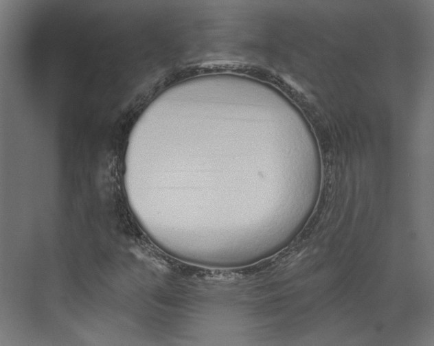 X0000073831351200609071504