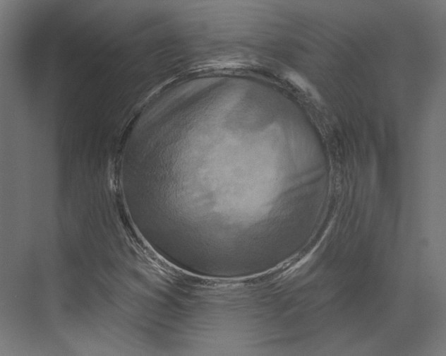 X0000073831353200609071504