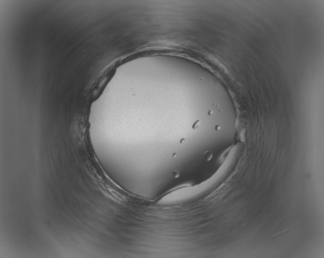 X0000073831355200609071504