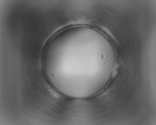 X0000073831356200609071504