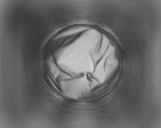 X0000073831359200609071504