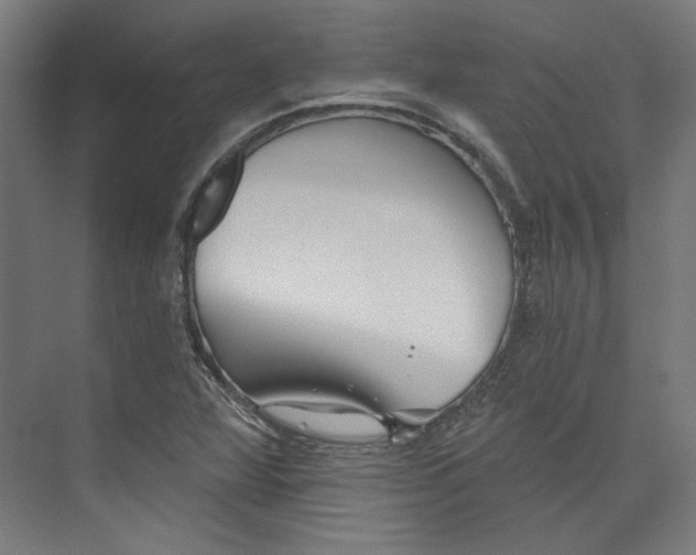 X0000073831360200609071504